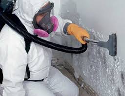 Best Biohazard Mold Removal  in USA